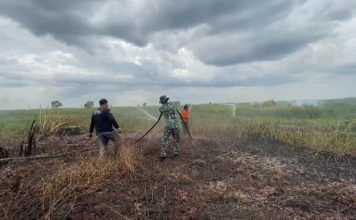 Musim kemarau tiba, karhutla bakar semak belukar di Desa Sungai Batang Martapura