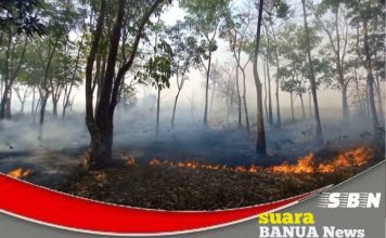 Karhutla di Kabupaten Banjar telah hanguskan ratusan hektar lahan belukar dan kering