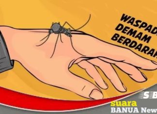 Satu balita di Kabupaten Banjar meninggal karena DBD, waspada saat musim penghujan