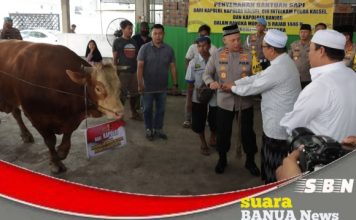 Kapolda Kalsel serahkan empat ekor sapi untuk momen 5 Rajab di Sekumpul