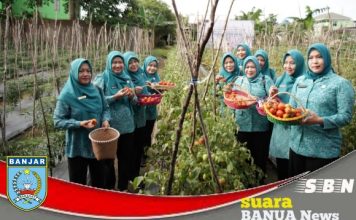 Sayuran hasil kebun PKK Desa Bincau, bantu ketersediaan bahan baku untuk program makan gratis