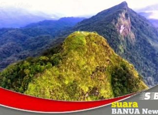 Aktivitas pendakian Gunung Halau Halau ditutup sementara, menyusul rencana tradisi Basambu Umang