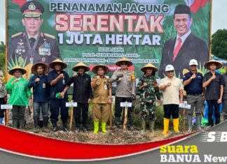 Dukung ketahanan pangan, Pj Bupati Batola bersama Kapolres Barito Kuala lakukan penanaman Jagung