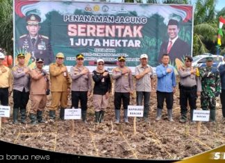 Dukung ketahanan pangan nasional, sejumlah pejabat di Kabupaten Banjar lakukan tanam Jagung