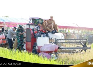Panen raya serentak bersama presiden , bupati Batola ucapan terima kasih : Batola salah satu lokasi panen