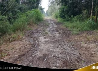 Proyek lanjutan pengerjaan JUT di Desa Kolam Kiri, terhambat cuaca