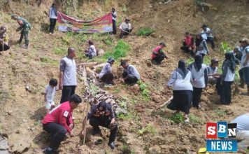 Warga Gunung Batu tanam 500 bibit pohon cegah longsor
