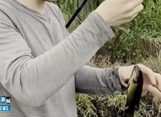 Banjar genjot produksi Papuyu, targetkan panen raya September 2025