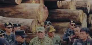 Satgas PKH ungkap penebangan liar di Mentawai, Kejaksaan Agung siap limpahkan ke Pengadilan