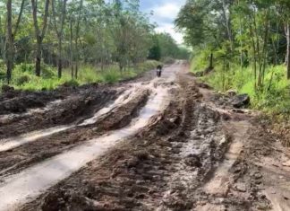Jalan TMMD rusak parah akibat truk batu bara?