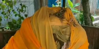 Datu Ja’far, Datu Kartamina, dan Datu Abi: Segitiga sakral penjaga sejarah dan Sungai Tabalong