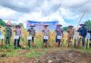 Sinergi Polres Banjar dan Dinas Pertanian dukung ketahanan pangan lewat panen raya Jagung