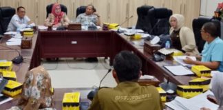 RDP Komisi IV: Kebudayaan tak boleh kalah prioritas dengan infrastruktur