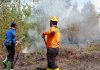 Lahan Gambut rawan terbakar, ini langkah antisipasi BPBD Banjar