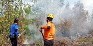 Lahan Gambut rawan terbakar, ini langkah antisipasi BPBD Banjar