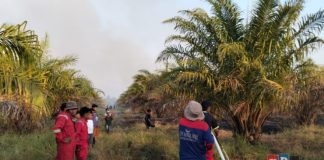 Cegah kebakaran susulan, Julong Group fokus pendinginan lahan di Jejangkit Timur