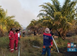 Cegah kebakaran susulan, Julong Group fokus pendinginan lahan di Jejangkit Timur