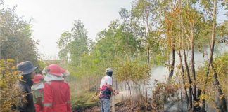 Komitmen Julong Group: Turun langsung bantu kendalikan titik api di Jejangkit