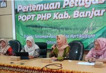 Hadapi serangan hama dan kekeringan, Distan Banjar susun langkah strategis selamatkan lahan pertanian