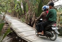 Jalan penghubung 6 wilayah di Aluh-Aluh rusak, Pemdes Terapu minta perhatian