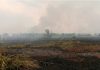 Sulitnya sumber air hambat pemadaman karhutla di Sungai Pinang Baru