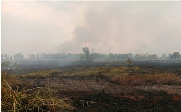 Sulitnya sumber air hambat pemadaman karhutla di Sungai Pinang Baru