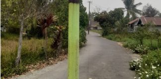 Tiang PLN di tengah Jalan Poros Tamban Sari Baru dikeluhkan warga