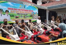 Semangat baru bertani, bantuan alsintan siap tingkatkan produksi jagung