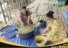 Kreativitas pembudidaya: Kepala Udang diolah jadi Pakan Ikan Patin hemat biaya