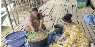 Kreativitas pembudidaya: Kepala Udang diolah jadi Pakan Ikan Patin hemat biaya