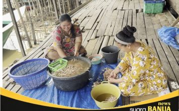 Kreativitas pembudidaya: Kepala Udang diolah jadi Pakan Ikan Patin hemat biaya
