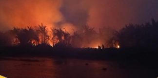 Terbesar se-Kalsel, Kab Banjar terima bantuan presiden Rp 20 miliar penanganan karhutla