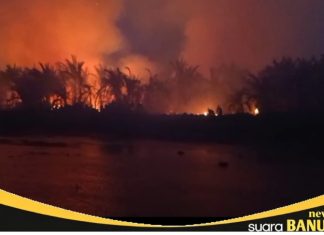 Terbesar se-Kalsel, Kab Banjar terima bantuan presiden Rp 20 miliar penanganan karhutla